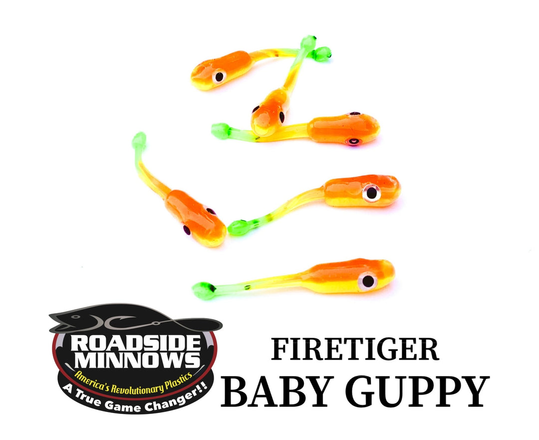 Baby Guppy - Roadside Minnows