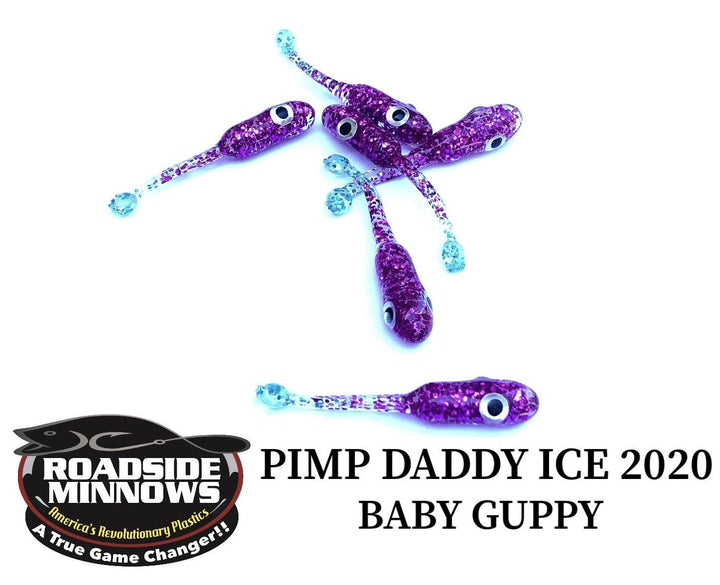 Baby Guppy - Roadside Minnows