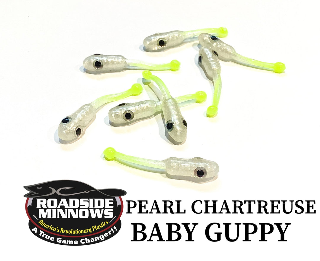 Baby Guppy - Roadside Minnows