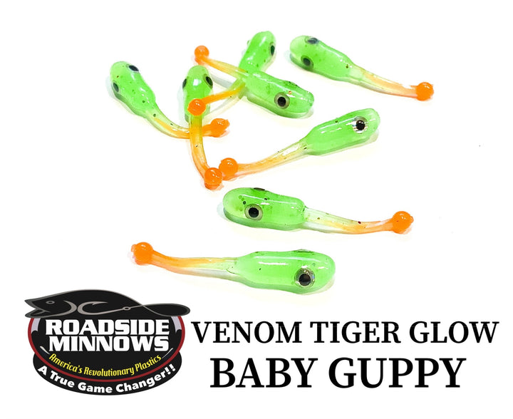 Baby Guppy - Roadside Minnows