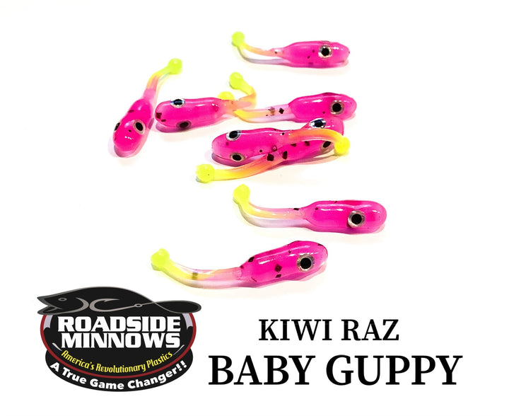 Baby Guppy - Roadside Minnows