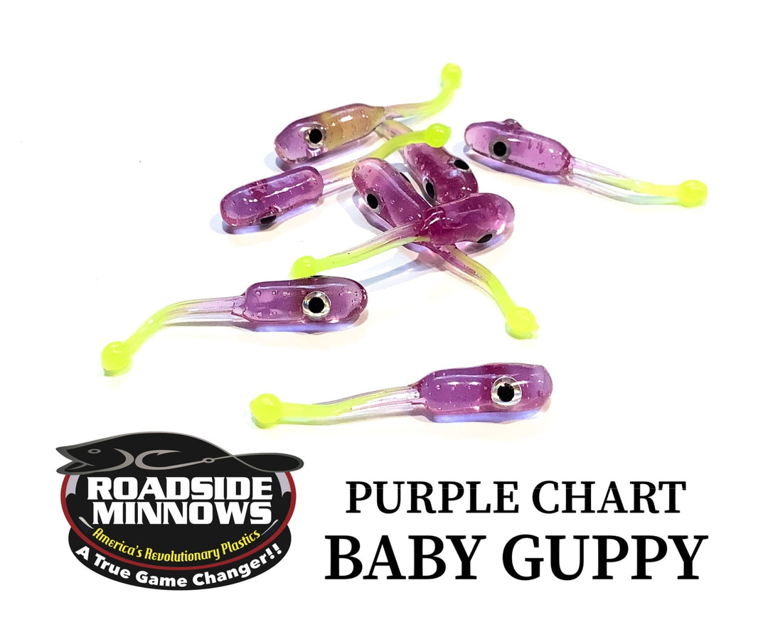 Baby Guppy - Roadside Minnows