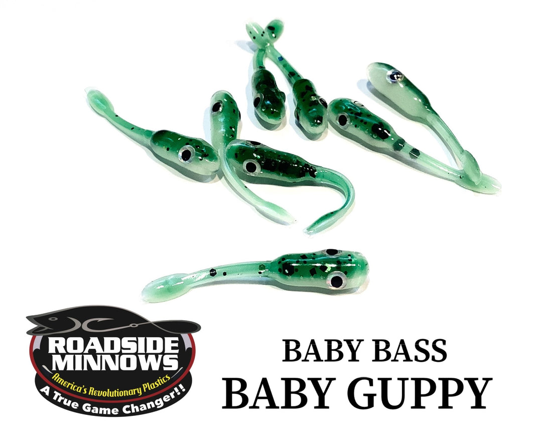 Baby Guppy - Roadside Minnows