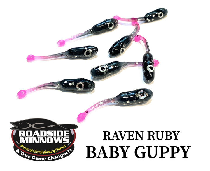 Baby Guppy - Roadside Minnows