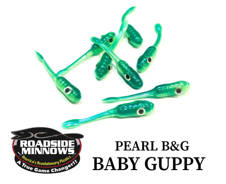 Baby Guppy - Roadside Minnows