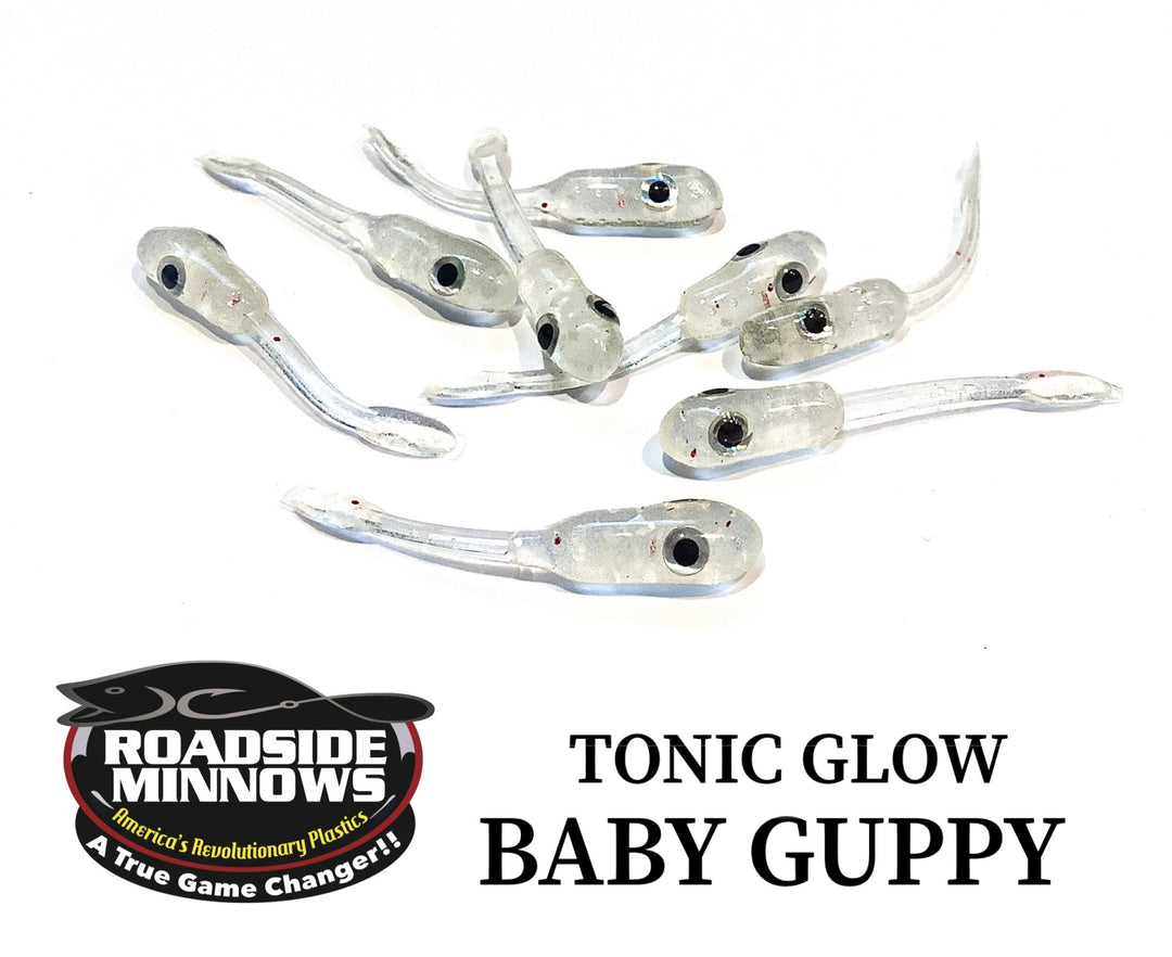Baby Guppy - Roadside Minnows
