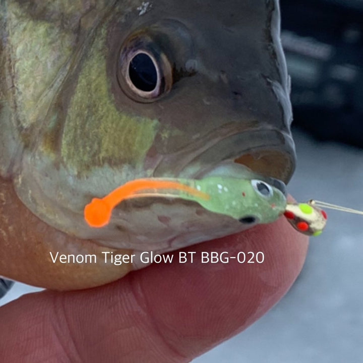 Baby Guppy - Roadside Minnows