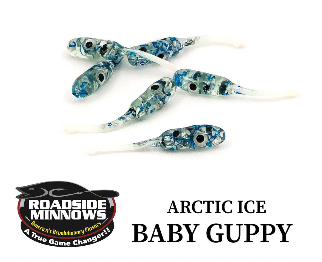Baby Guppy - Roadside Minnows