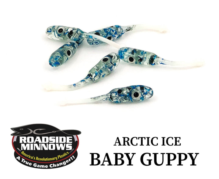 Baby Guppy - Roadside Minnows