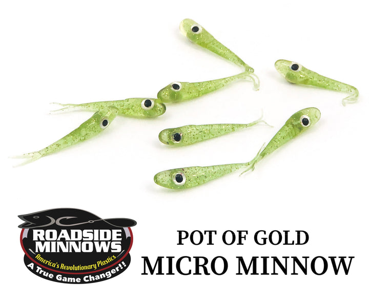 Micro Minnow - Roadside Minnows