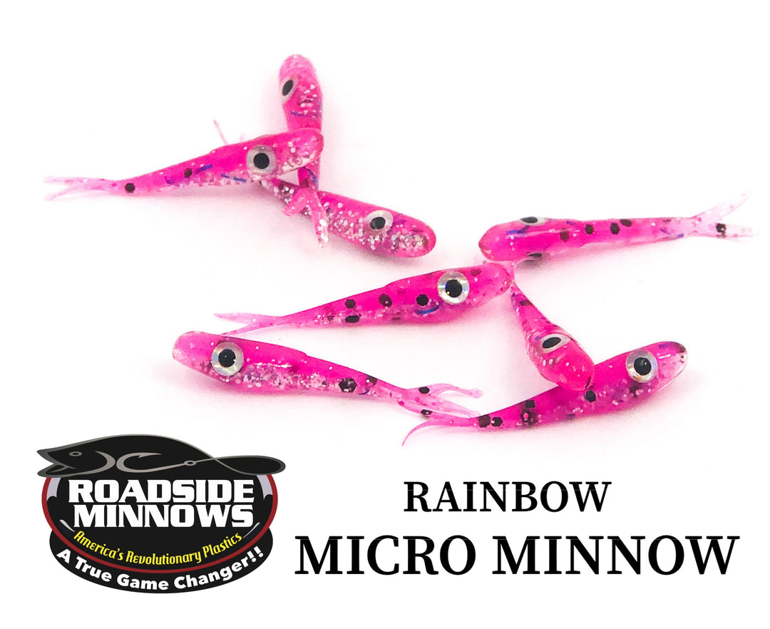 Micro Minnow - Roadside Minnows