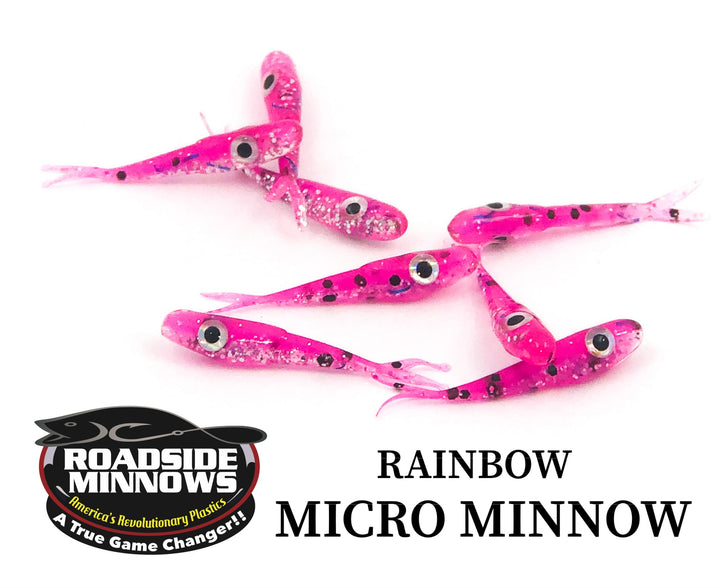 Micro Minnow - Roadside Minnows