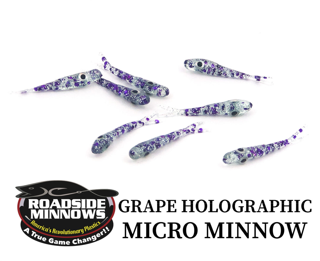 Micro Minnow - Roadside Minnows