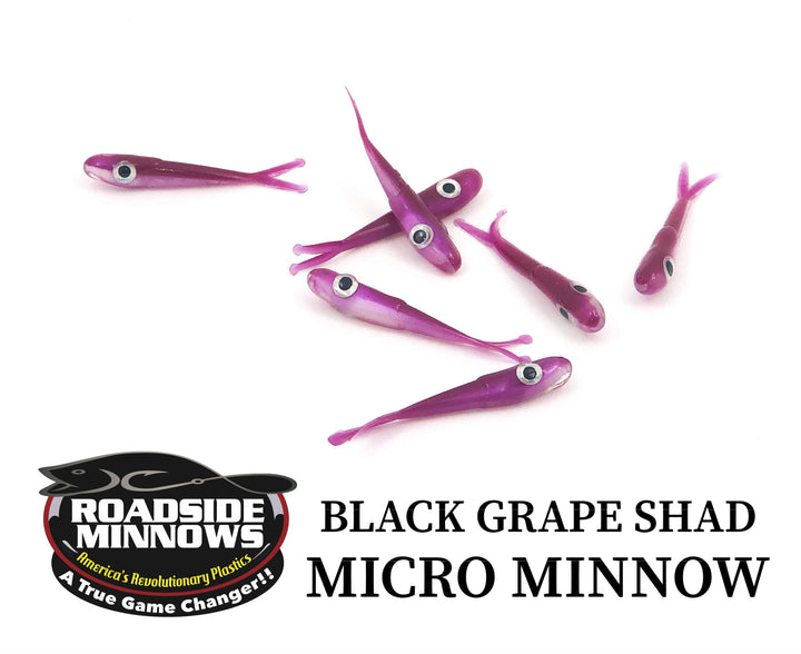 Micro Minnow - Roadside Minnows
