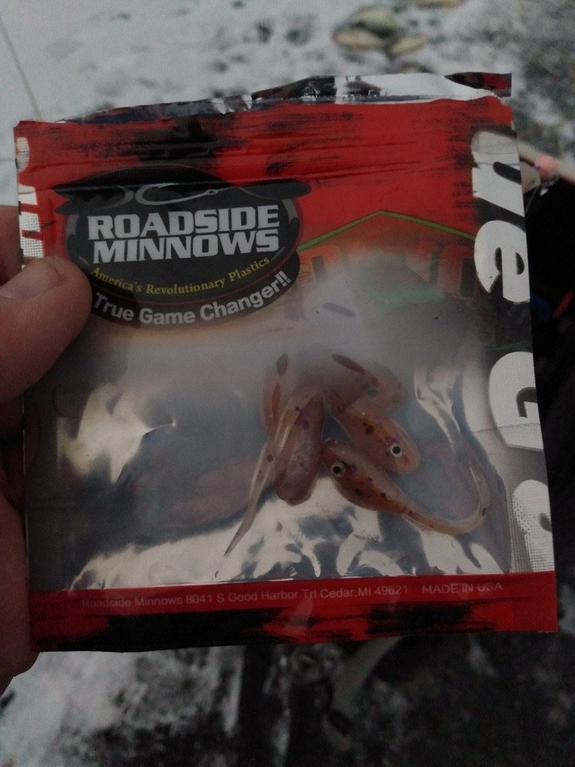 Nano Fry 1.75 - Roadside Minnows