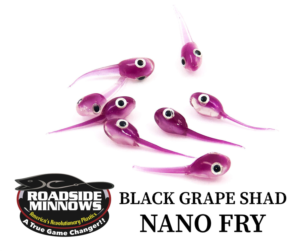 Nano Fry - Roadside Minnows