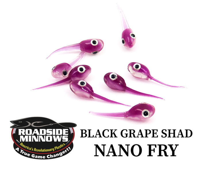 Nano Fry - Roadside Minnows