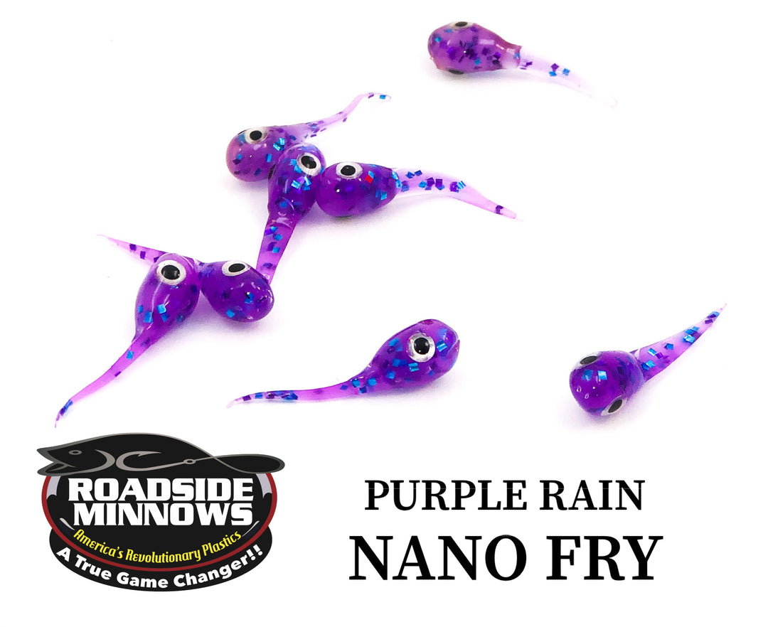Nano Fry - Roadside Minnows