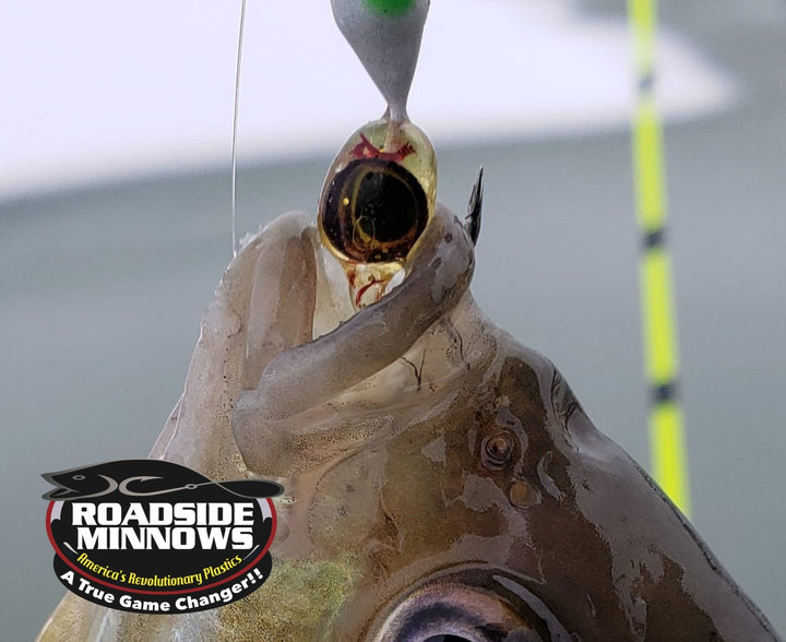The Original RM Perch Eye™️ - Roadside Minnows