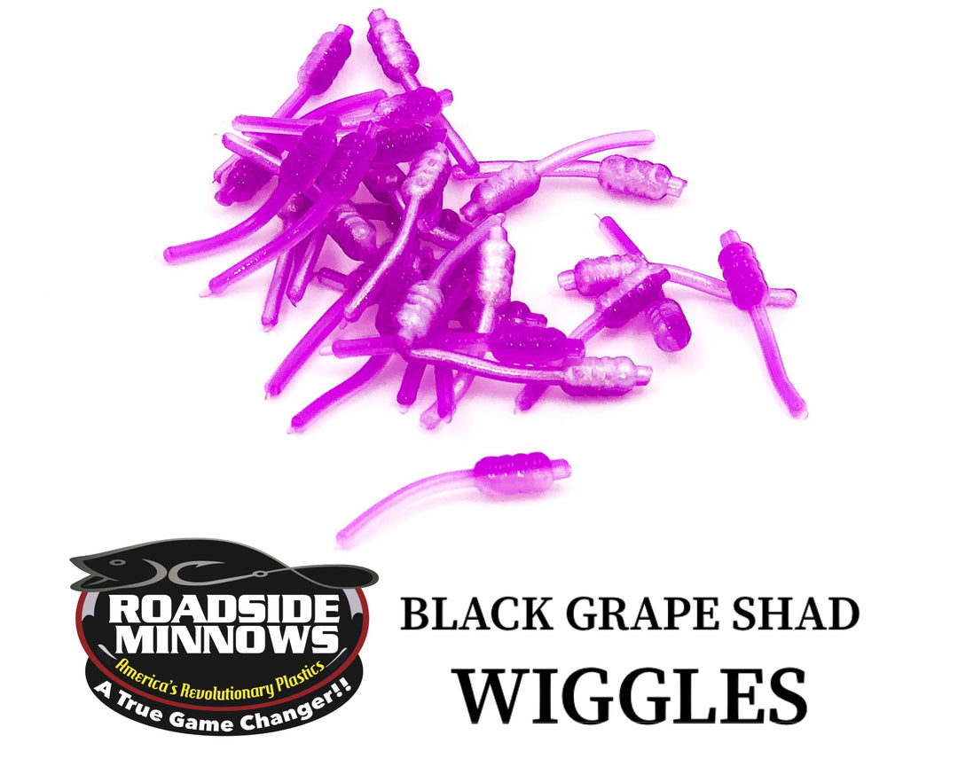 Wiggles - Roadside Minnows