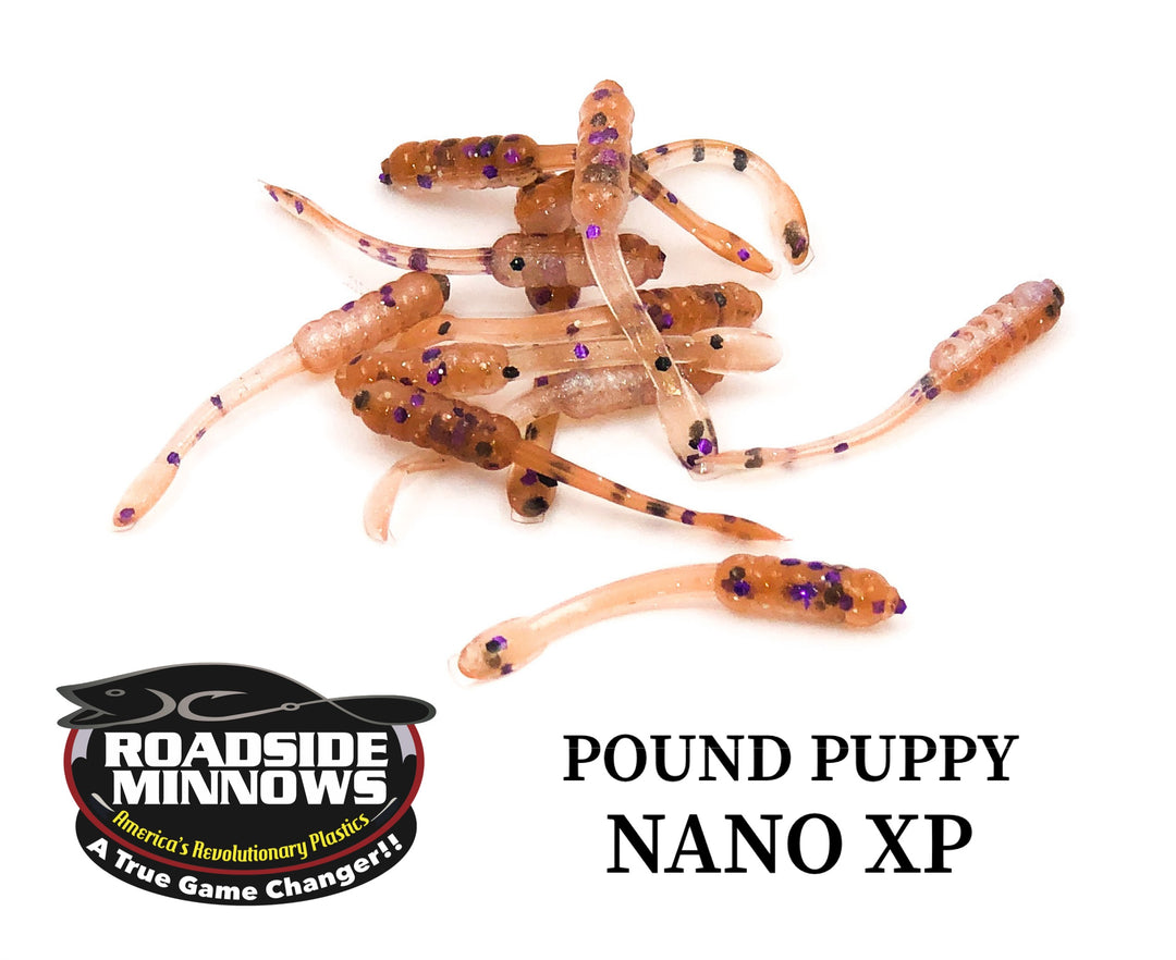 XP 1.25 - Roadside Minnows