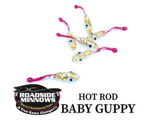 Baby Guppy - Roadside Minnows
