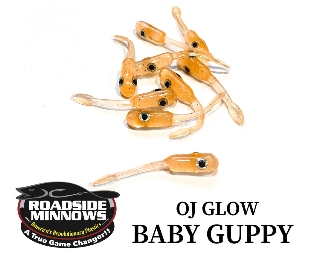 Baby Guppy - Roadside Minnows